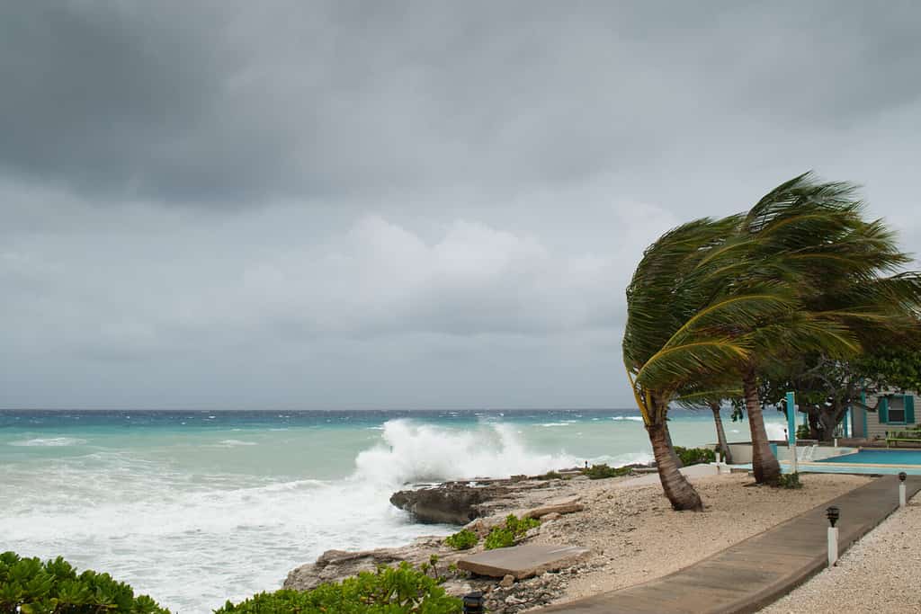 Un uragano sta per abbattersi su questa capanna sulla spiaggia caraibica.  I mari sono in tempesta e i cieli mostrano la tempesta tropicale mentre si dimostra il potere della natura.  Le onde si infrangono sulla riva