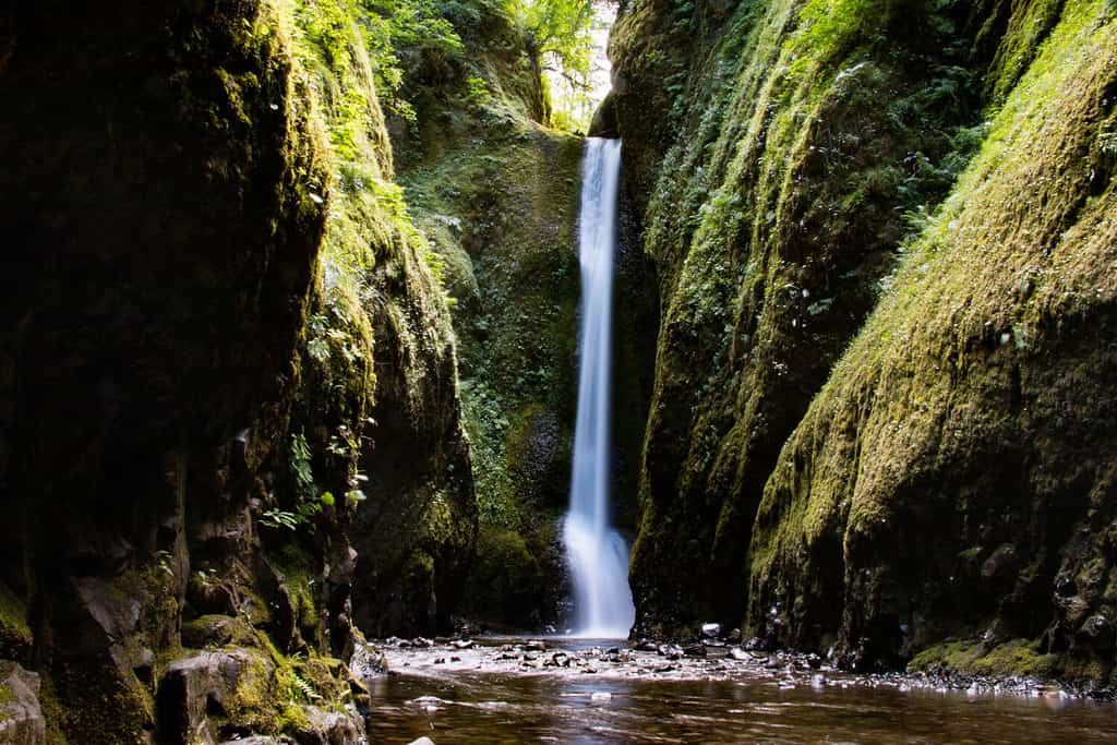 Cascata nella gola di Oneonta nella gola del fiume Columbia nello stato americano dell'Oregon.