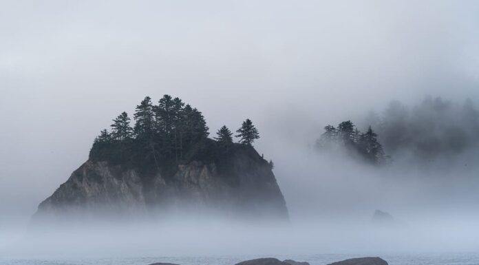 La nebbia mattutina avvolge un'isola rocciosa a Rialto Beach Washington.