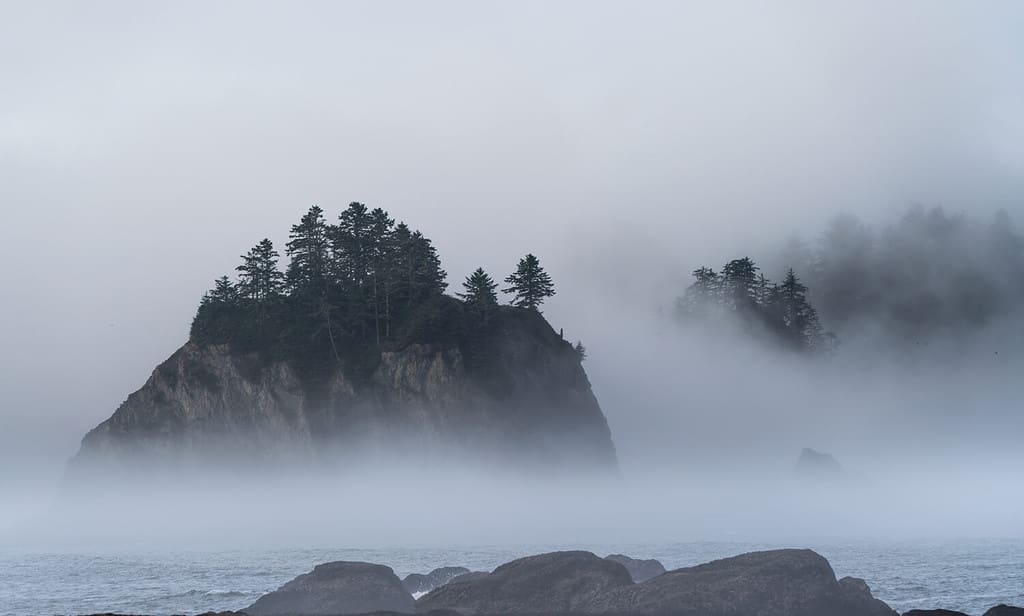 La nebbia mattutina avvolge un'isola rocciosa a Rialto Beach Washington.