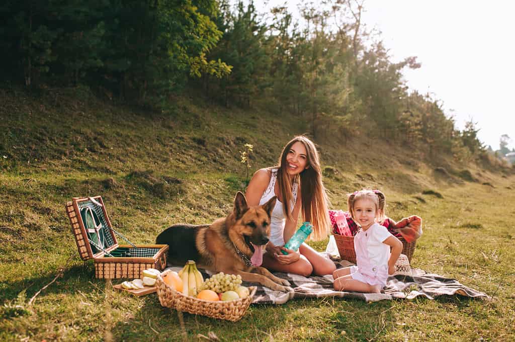 madre e figlia ad un picnic con un cane da pastore tedesco