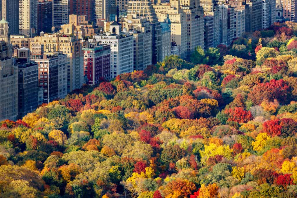 autunno a New York
