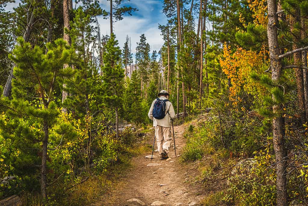 Uomo anziano che fa un'escursione nella foresta del Colorado in autunno