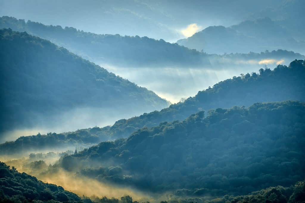 La mattina presto lungo la Highland Scenic Highway, una National Scenic Byway, Pocahontas County, West Virginia, Stati Uniti