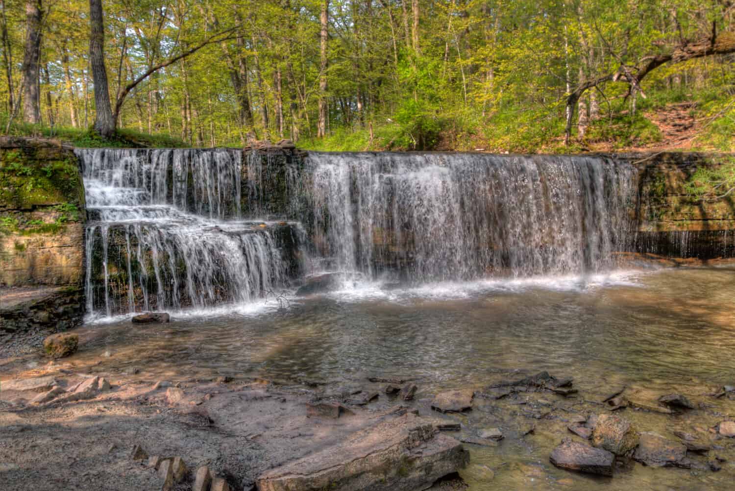 Il Big Woods State Park si trova a circa un'ora a sud delle Twin Cities nel Minnesota.