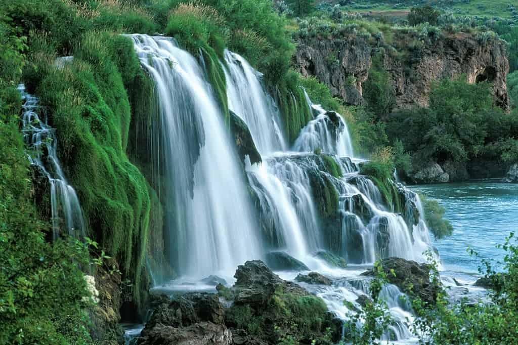 L'acqua scorre attraverso il verde lussureggiante del sottobosco a Fall Creek Falls e si tuffa nello Snake River nell'Idaho sud-orientale, negli Stati Uniti.