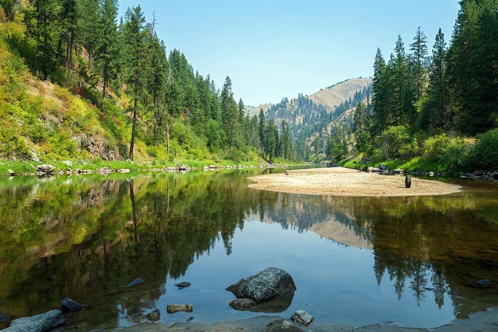 La foresta si riflette nella South Fork del fiume Clearwater nell'Idaho, negli Stati Uniti
