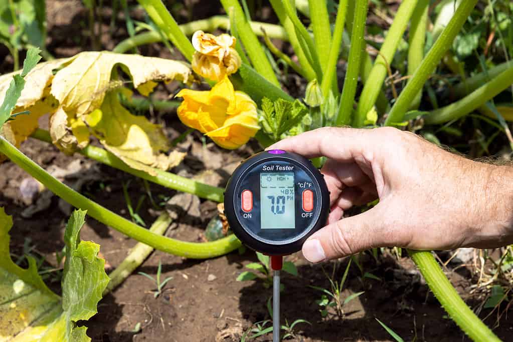 Misurazione del valore del pH del suolo, dell'illuminazione ambientale e della qualità dell'umidità in un orto