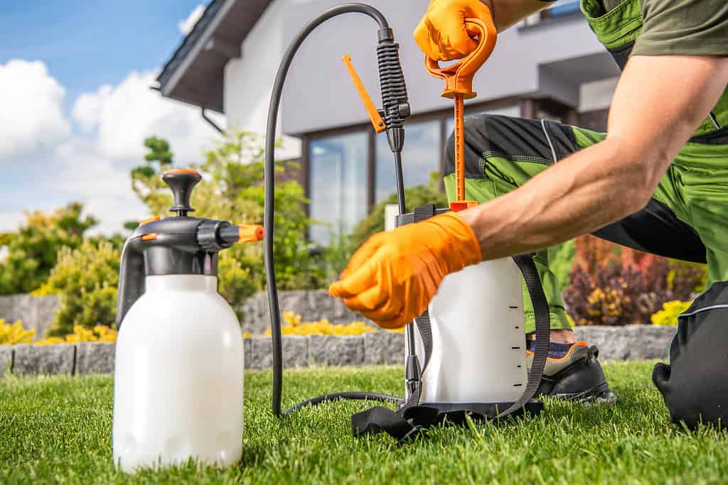 Preparazione dell'attrezzatura da giardino fungicida e insetticida