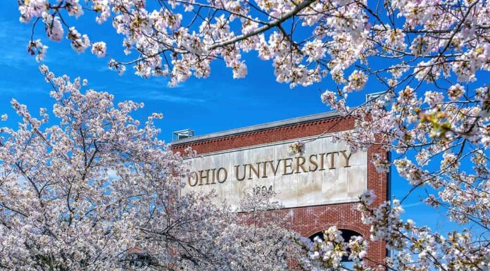 Fiori di ciliegio in fiore che circondano un cartello in mattoni della Ohio University ad Athens, Ohio.