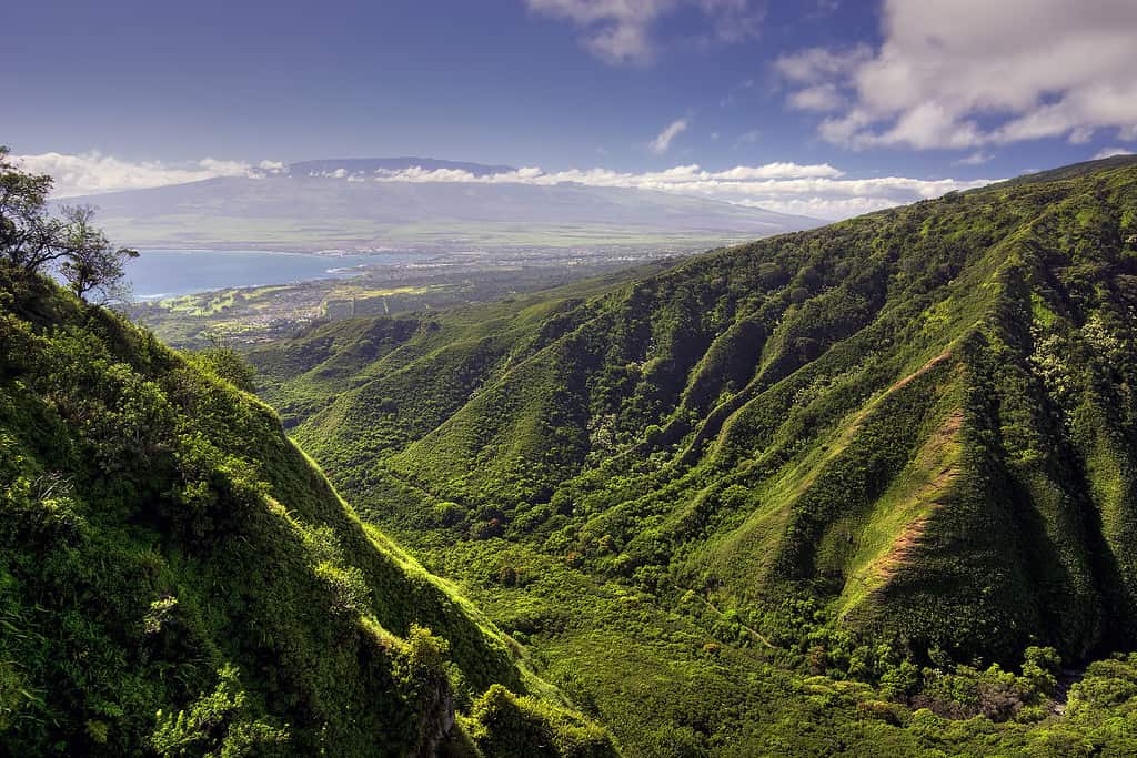 Waihee Ridge Trail e vista di Kahului e Haleakala, Hawaii