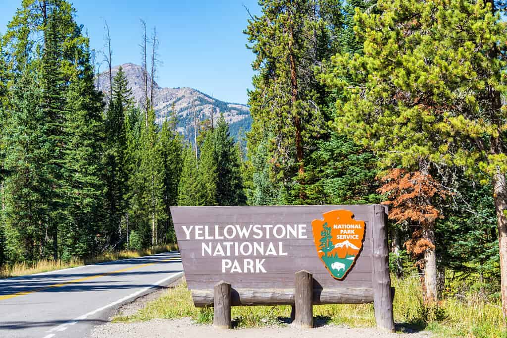 Veduta dell'ingresso al Parco Nazionale di Yellowstone