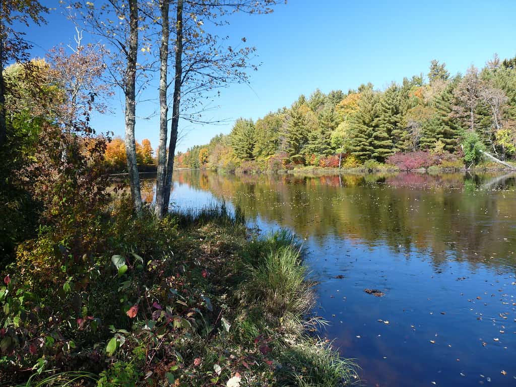 La Flambeau River State Forest è un parco statale lungo il fiume Flambeau nel nord del Wisconsin.