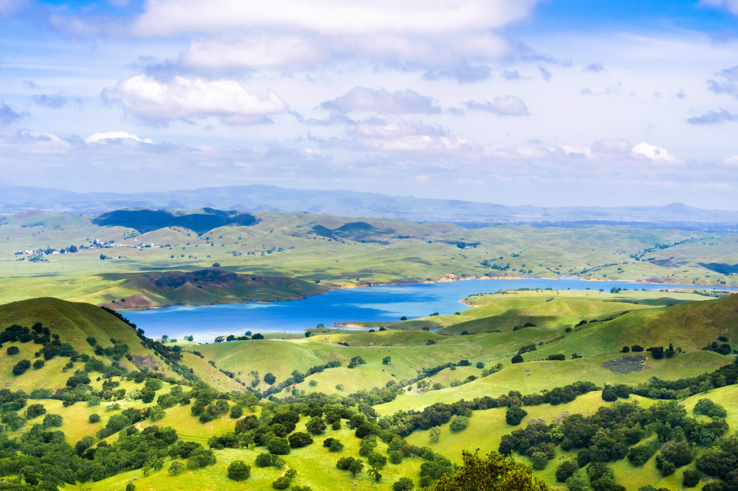 Il bacino idrico di San Antonio è circondato da verdi colline, Sunol, contea di Alameda, zona della baia di San Francisco, California