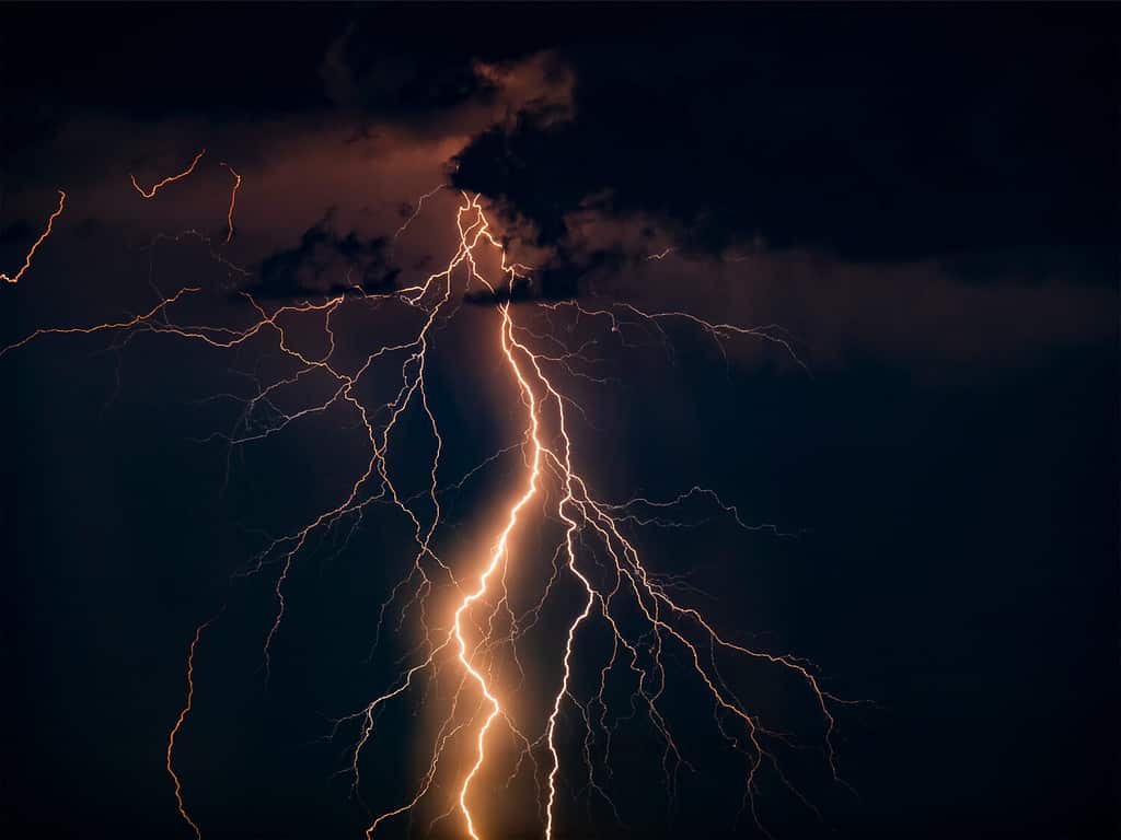 Ci sono molti fulmini contro il cielo nero.  Foto notturna di un temporale con una lunga esposizione, da vicino.  Un'immagine composita di diversi fotogrammi.  Copia spazio, un effetto per design e sovrapposizione.