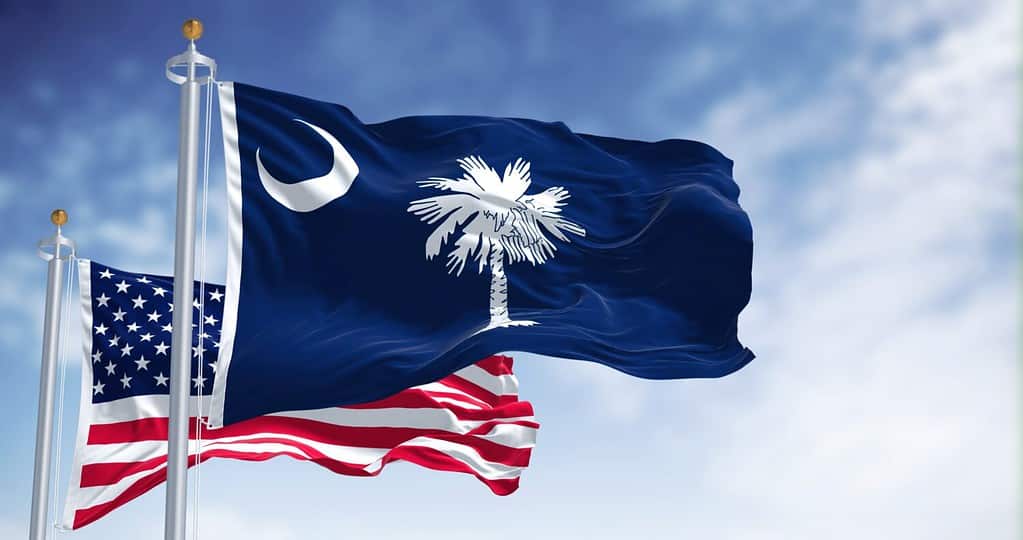La bandiera dello stato della Carolina del Sud sventola insieme alla bandiera nazionale degli Stati Uniti d'America.  La Carolina del Sud è uno stato nella regione costiera sud-orientale degli Stati Uniti