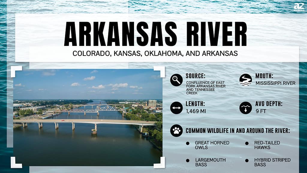 Infografica per il fiume Arkansas