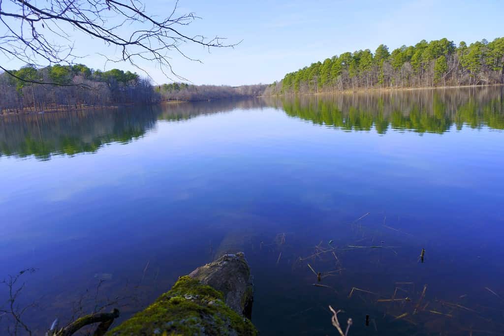 Litorale del lago Wedington durante il tramonto, il lago Wedington si trova vicino a Fayetteville Arkansas, USA, nella foresta nazionale di Ozark St. Francis.  È stato costruito negli anni '30 e la manodopera è stata pagata dalla WPA.