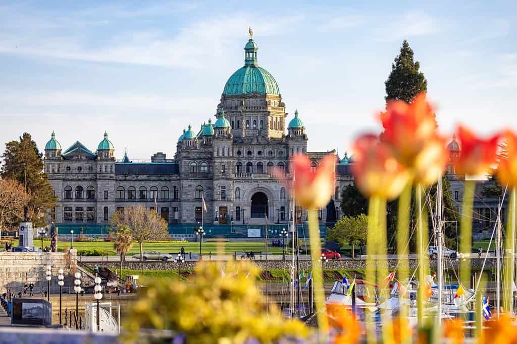 Assemblea legislativa della Columbia Britannica nella capitale durante una giornata di sole.  Centro di Victoria, Isola di Vancouver, BC, Canada.  Tramonto