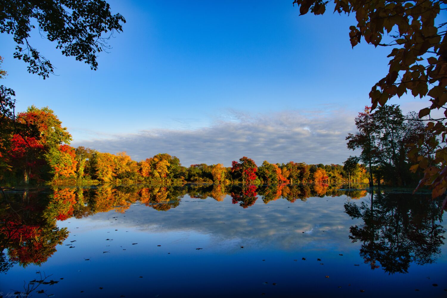 Il bellissimo paesaggio autunnale con fogliame colorato Salem, Connecticut 