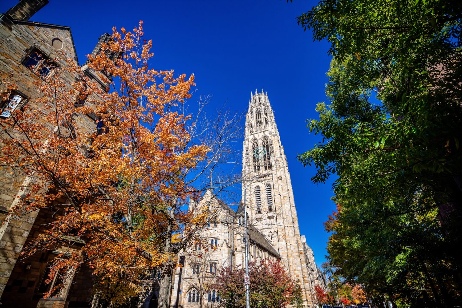 Paesaggio urbano dell'orizzonte del centro della città di New Haven del Connecticut, Stati Uniti in autunno