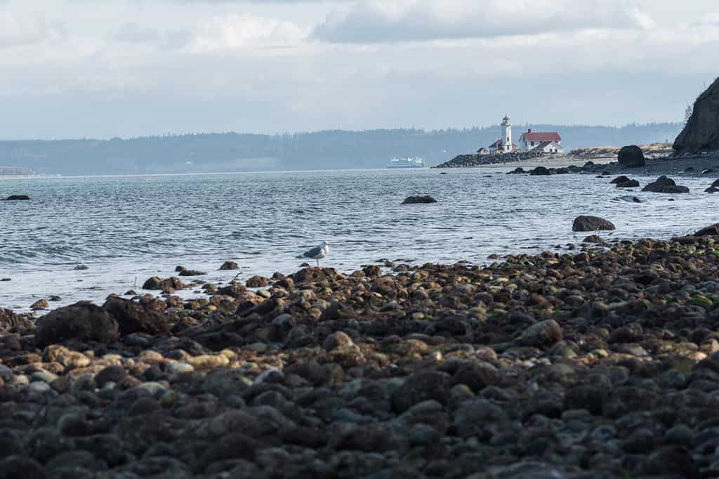 Vista sul mare del litorale e del faro distante in una giornata nuvolosa nel Fort Worden State Park a Port Townsend Washington