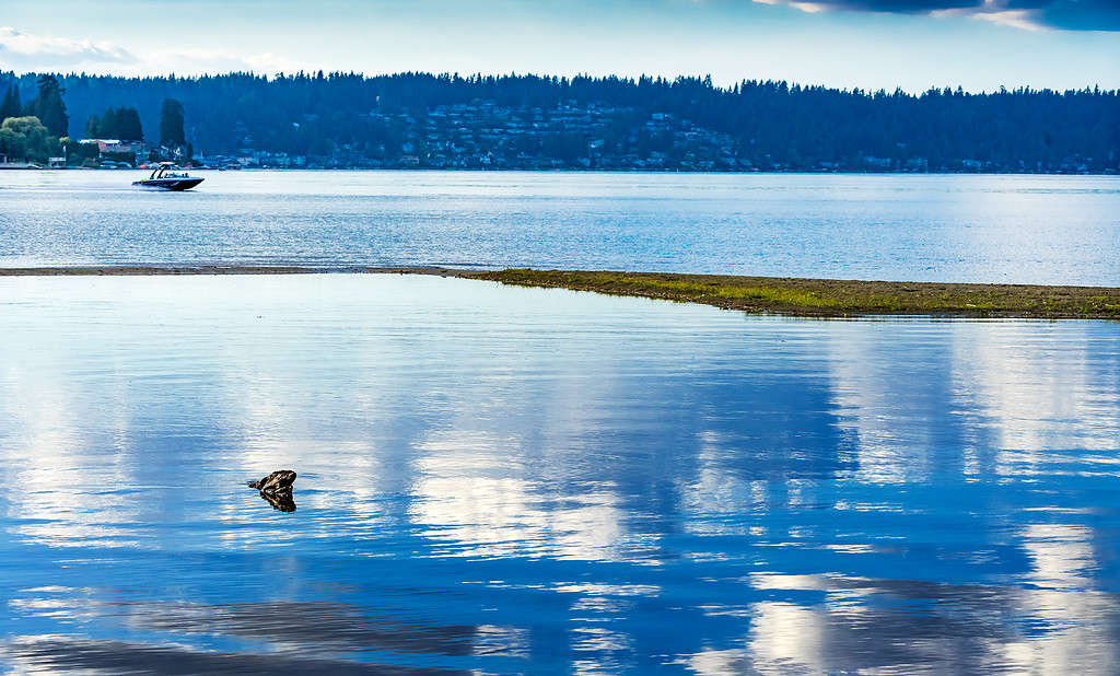 Blu bianco riflesso motoscafo Lake Sammamish State Park Issaquah Washington, Lago Sammamish, nello Stato di Washington