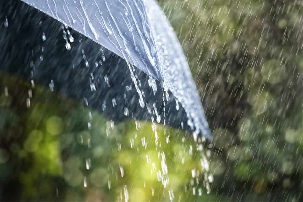 Gocce di pioggia che cadono da un ombrello nero per il maltempo, l'inverno o la protezione