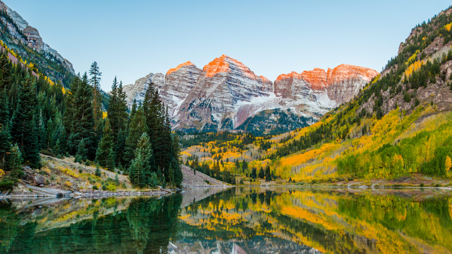 Foto paesaggistica della campana marrone rossiccio in Colorado.  nella stagione autunnale di Aspen Colorado.