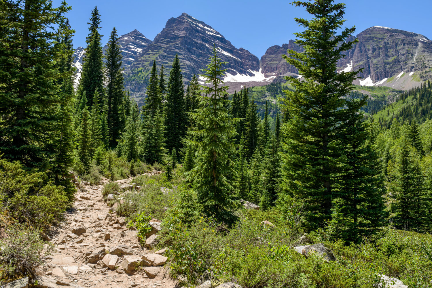 Crater Lake Trail - Un sentiero accidentato che si snoda attraverso una foresta di pini alla base di Maroon Bells, Aspen, Colorado, Stati Uniti.