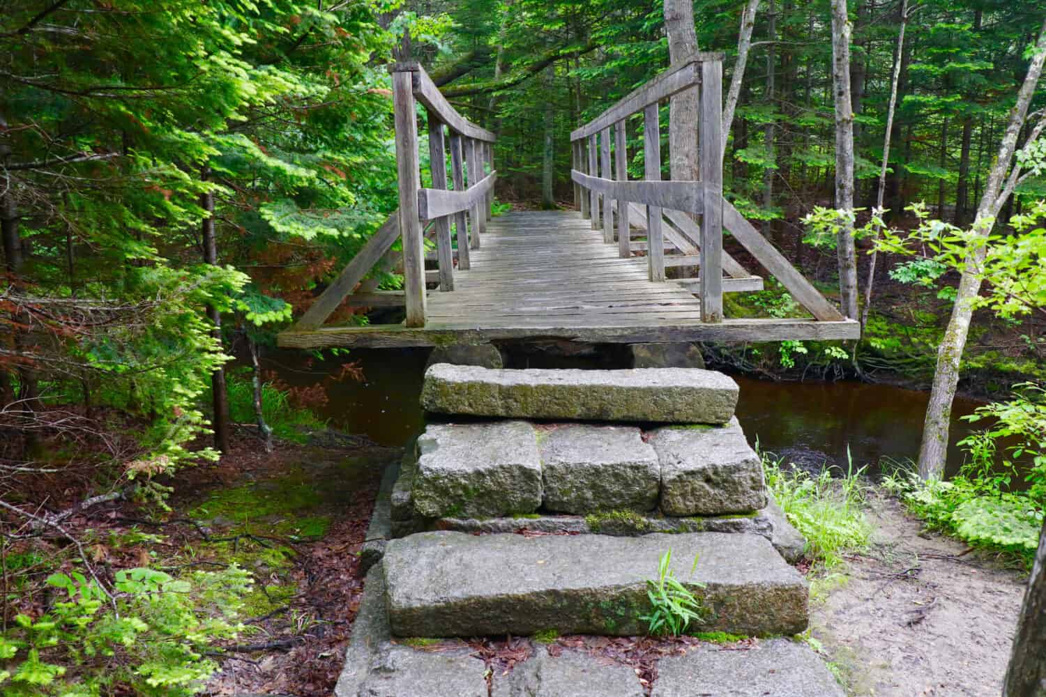   Facendo un'escursione sui sentieri di Buxton nel Maine                              