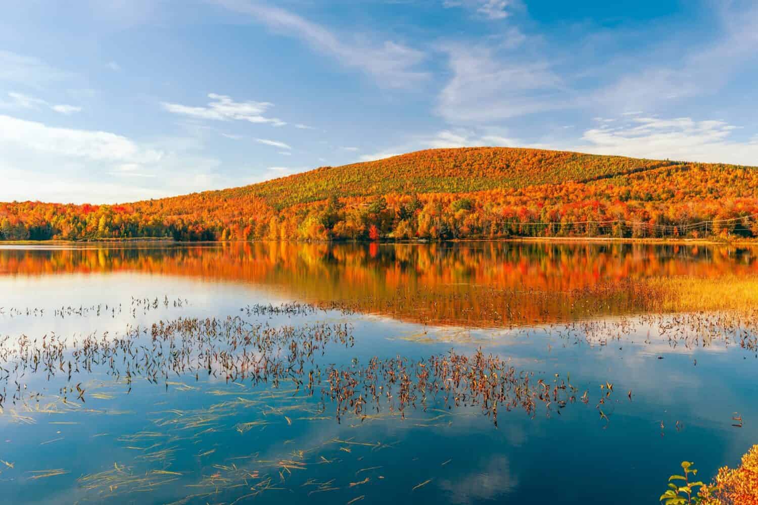 Bacino idrico Pontook sul fiume Androscoggin in autunno.  Dummer.  Contea di Coos.  New Hampshire.  Stati Uniti d'America