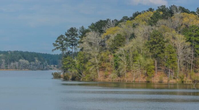 Lago Okhissa