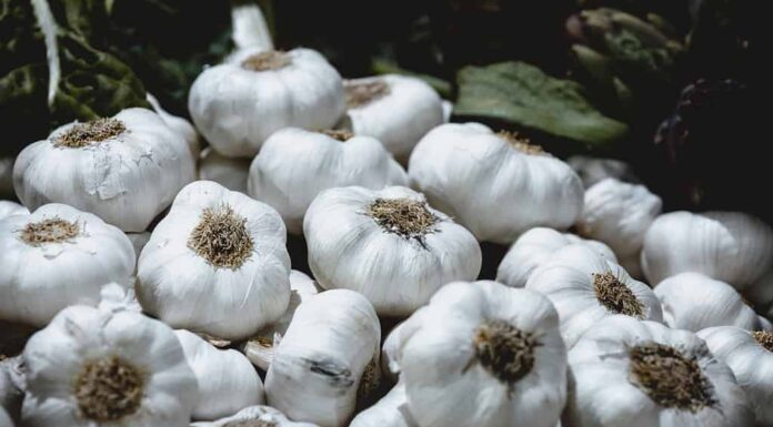 Più bulbi di aglio dal collo morbido in una scatola contenitore con le loro radici in vendita su un mercato locale