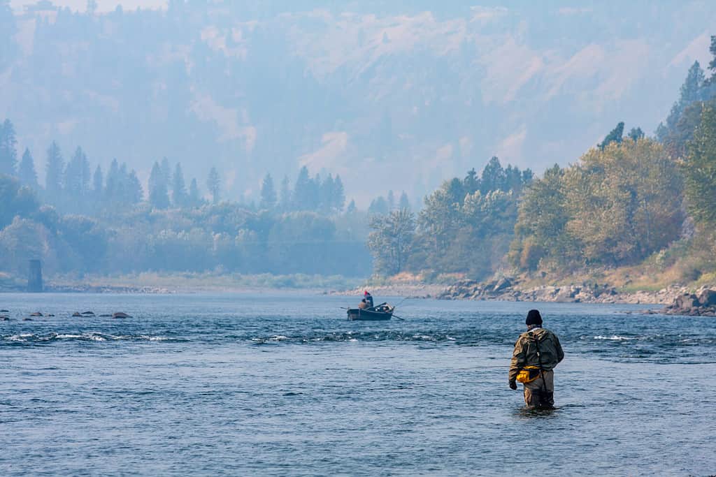 Pesca a mosca per Steelhead sul fiume Clearwater, Orofino, Idaho