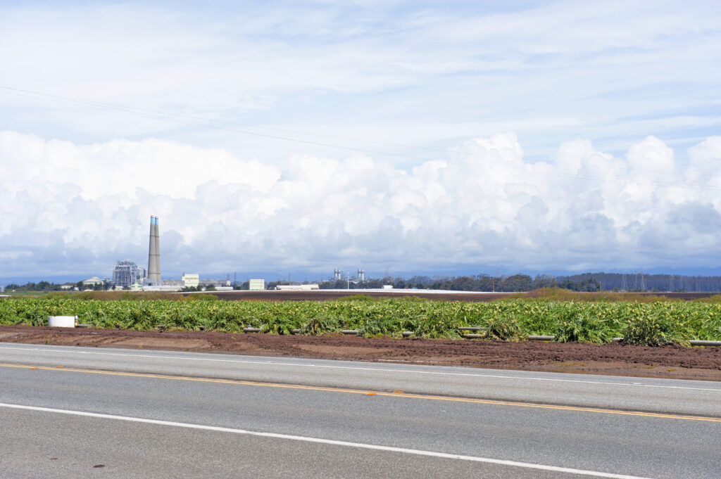 Watsonville e le aree circostanti sono a rischio di inondazioni.