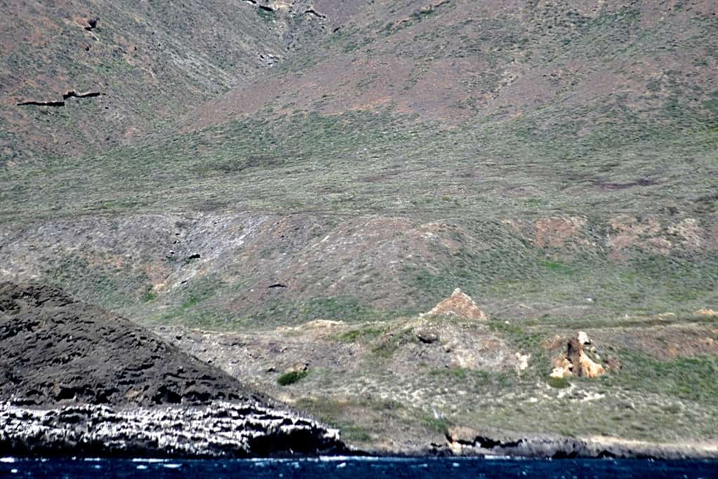 Isola di San Clemente California