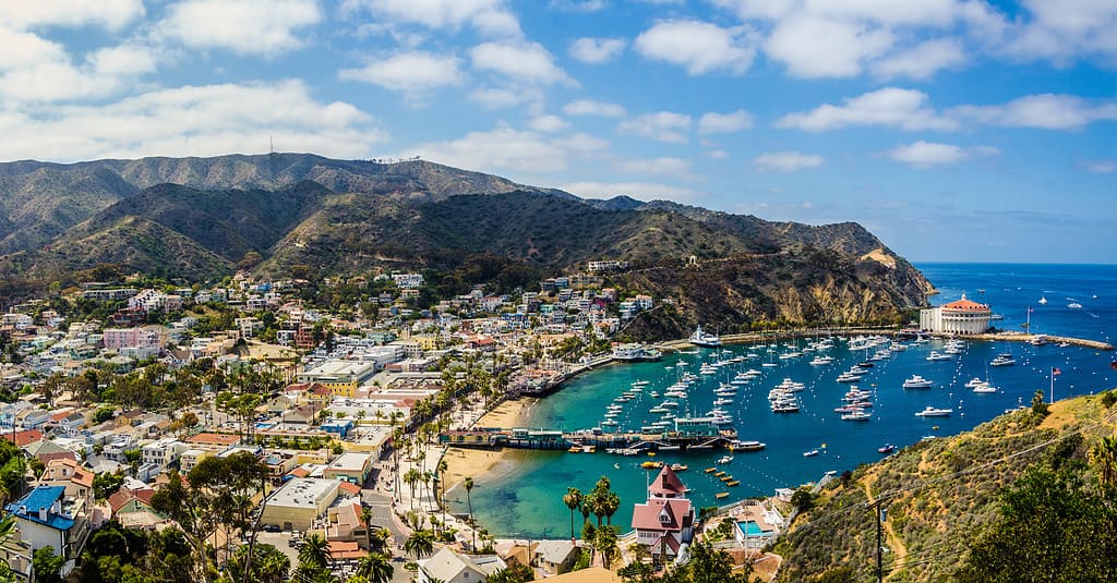 Paradiso dell'isola della California.  Una giornata ideale catturata durante la vacanza su un'isola della California meridionale: Catalina.