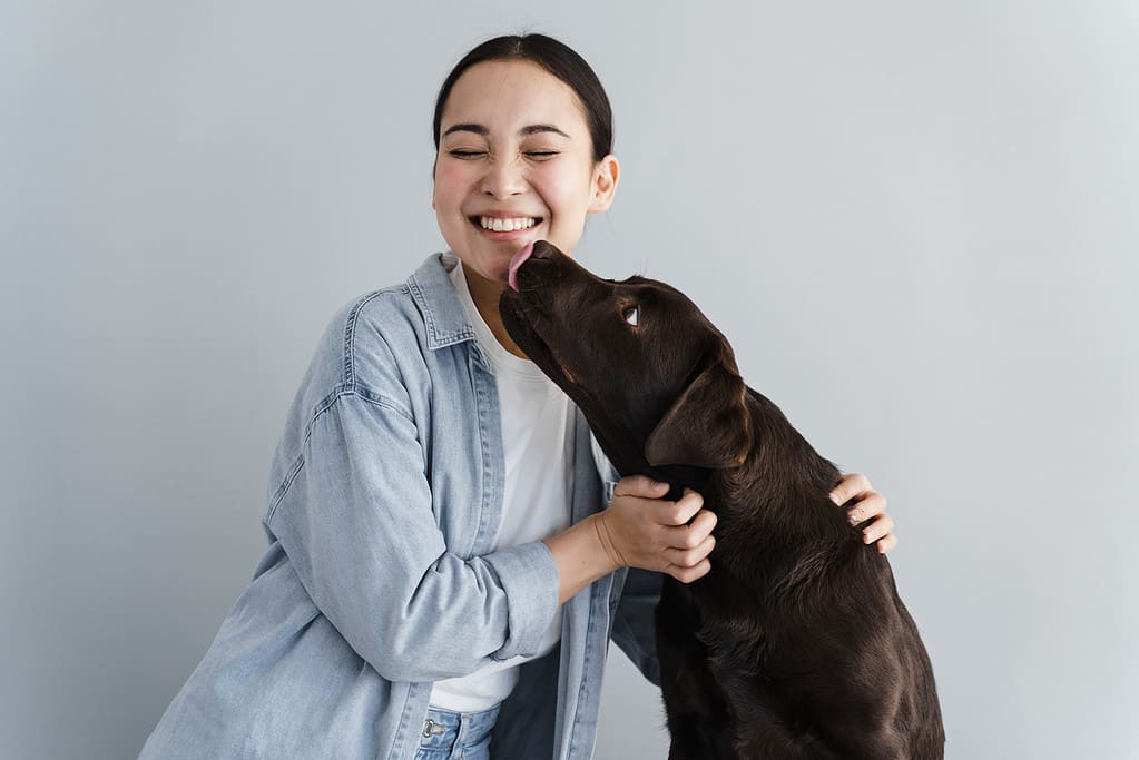 La ragazza felice gioca con il cane su sfondo grigio.  Il cane lecca la guancia della donna felice.  Signora di ottimo umore con animale domestico.