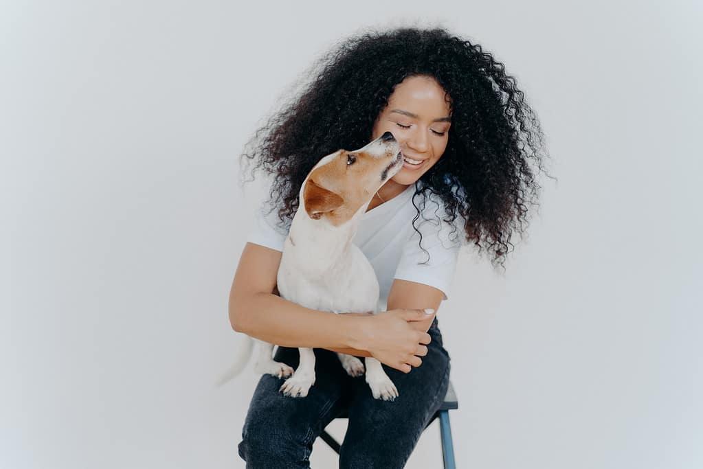 Una donna felice e carina con i capelli ricci riceve un bacio da jack russell terrier sente l'amore per il suo animale domestico preferito e si diverte in compagnia del cane seduto su una sedia su sfondo bianco.  L'amore tra proprietario e animale.