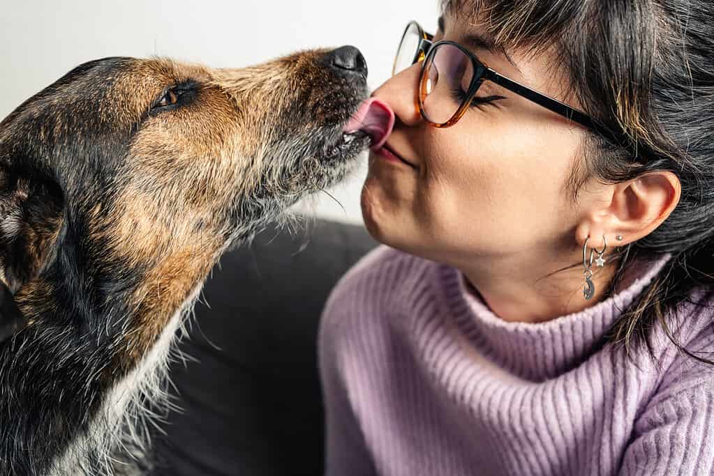 Adorabile immagine di un cane che bacia e lecca in faccia il suo proprietario.