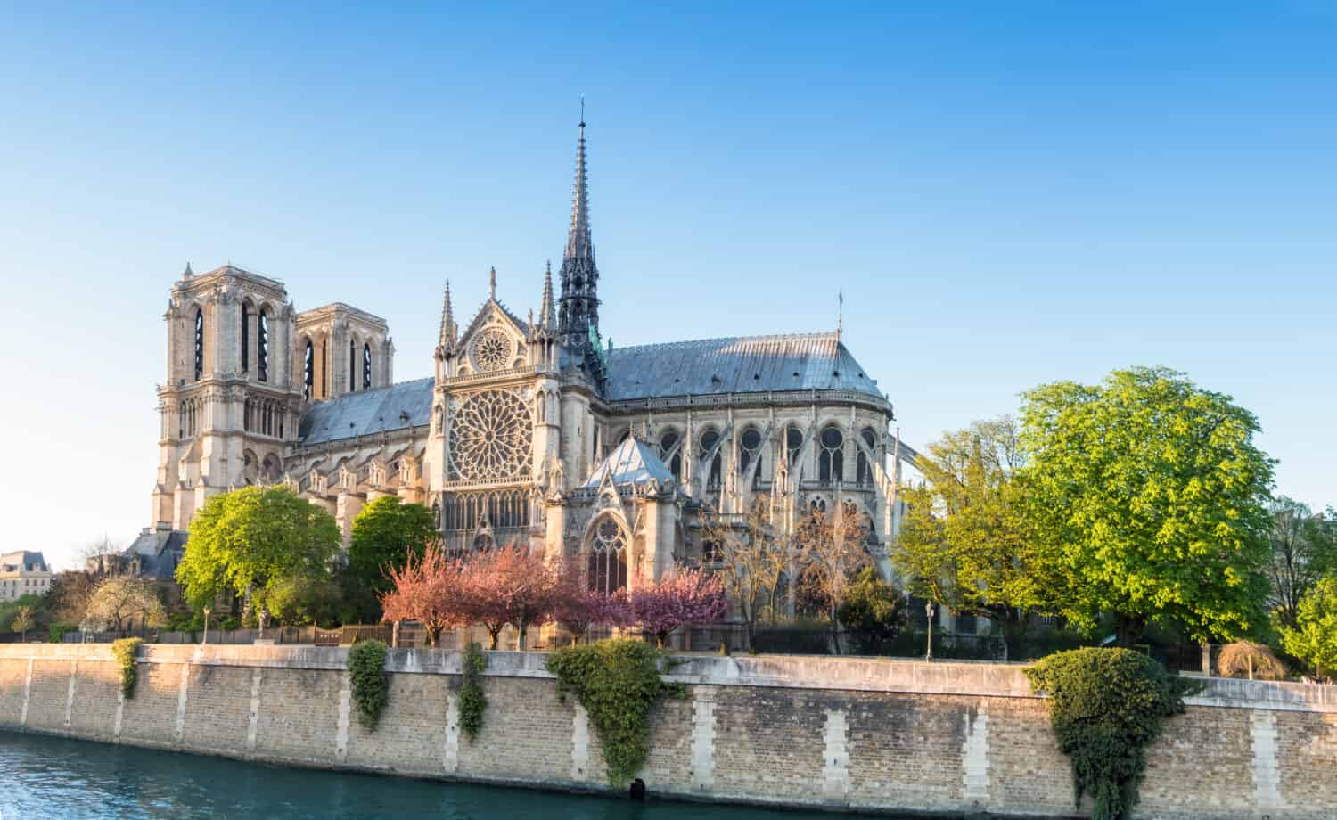 Cattedrale di Notre Dame a Parigi in un luminoso pomeriggio di primavera, immagine panoramica