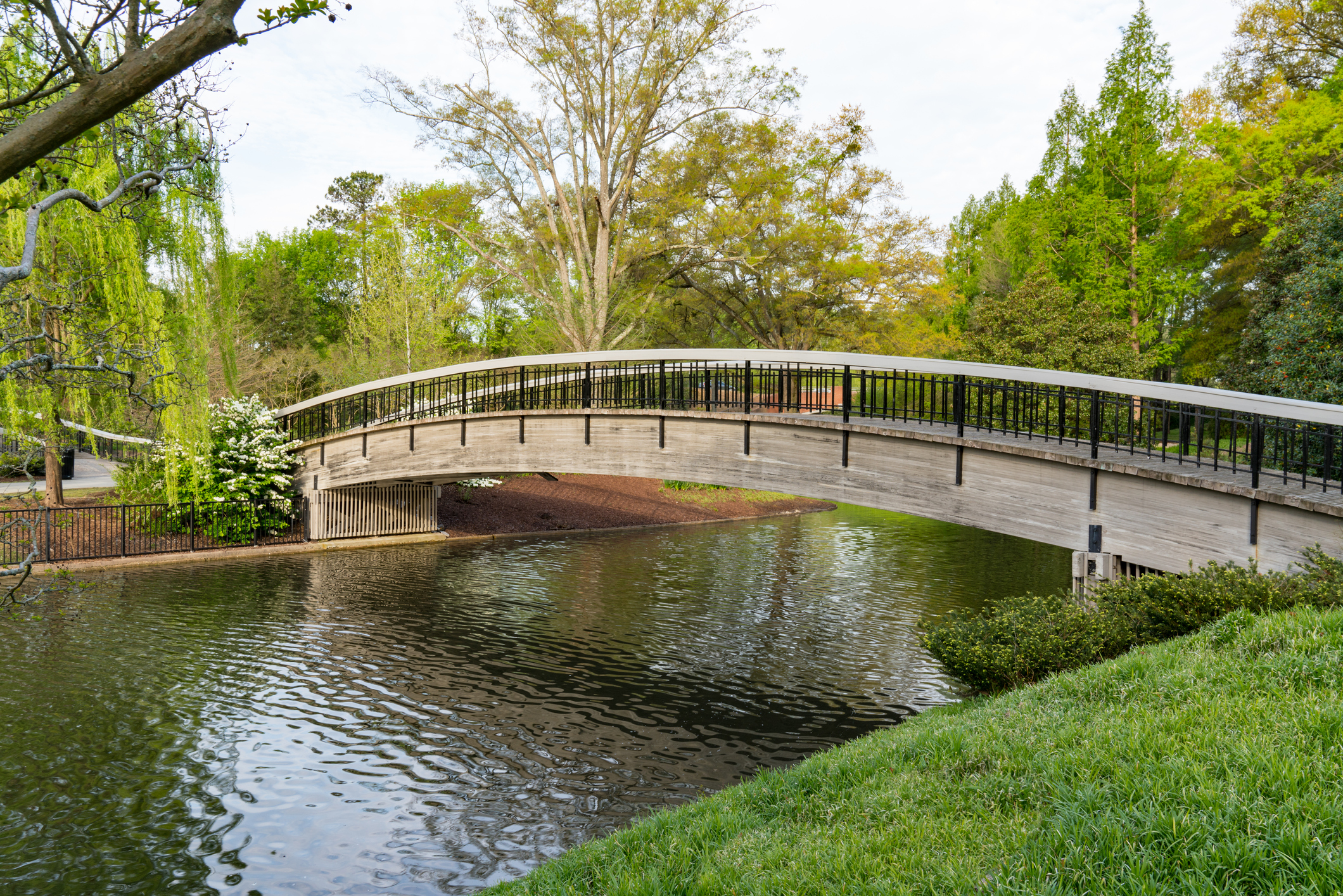 Ponte sul lago a Pullen Park