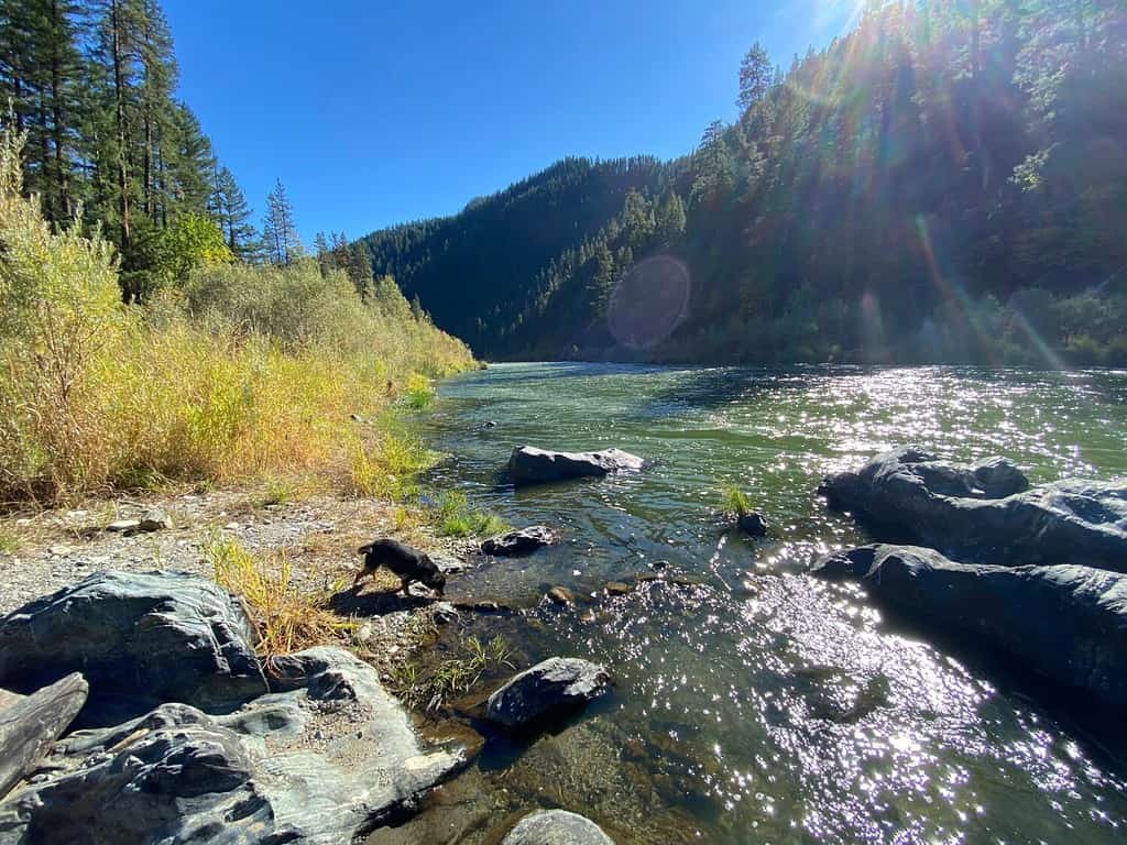 Klamath, le tribù hanno storicamente, e continuano a utilizzare, conoscenze e pratiche ecologiche tradizionali per prendersi cura e gestire il proprio paesaggio.