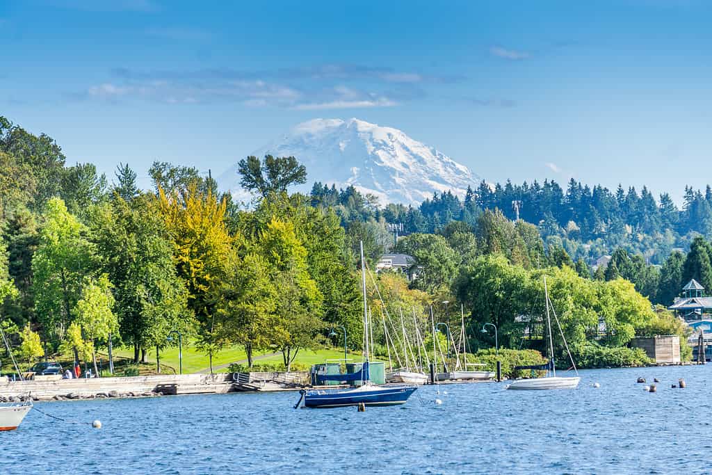 Renton Park Lake Shoreline 3, Lago Washington, Stato di Washington