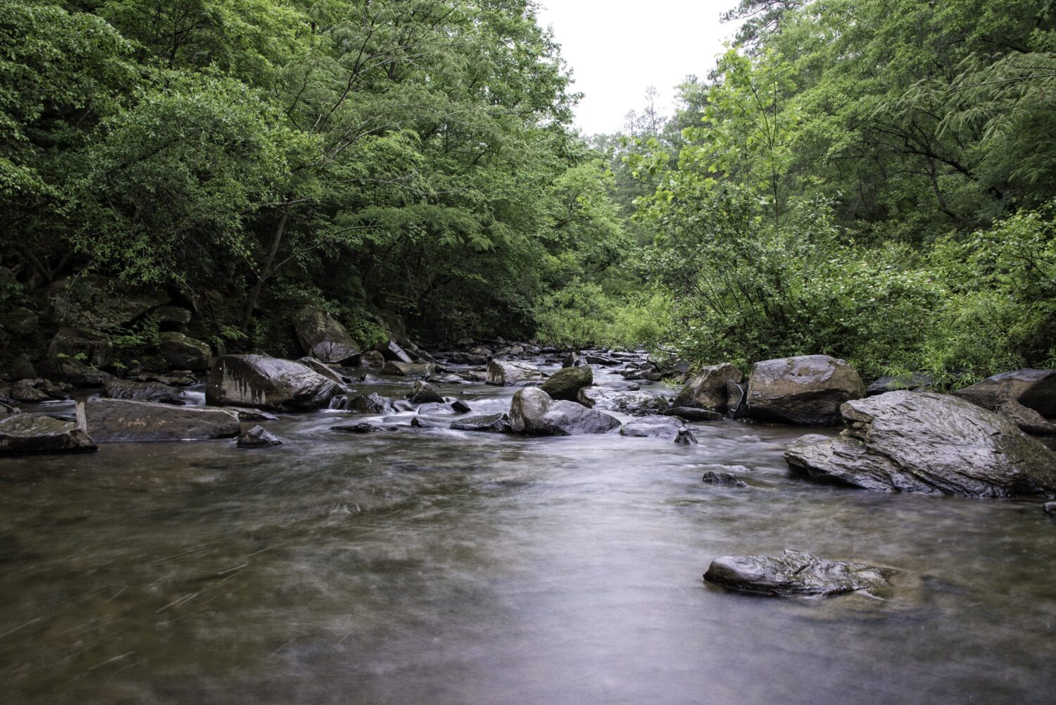 Piccolo torrente che corre nel fiume Cahaba, nell'Alabama centrale.