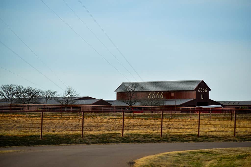 Ranch 6666 nel Texas, Stati Uniti