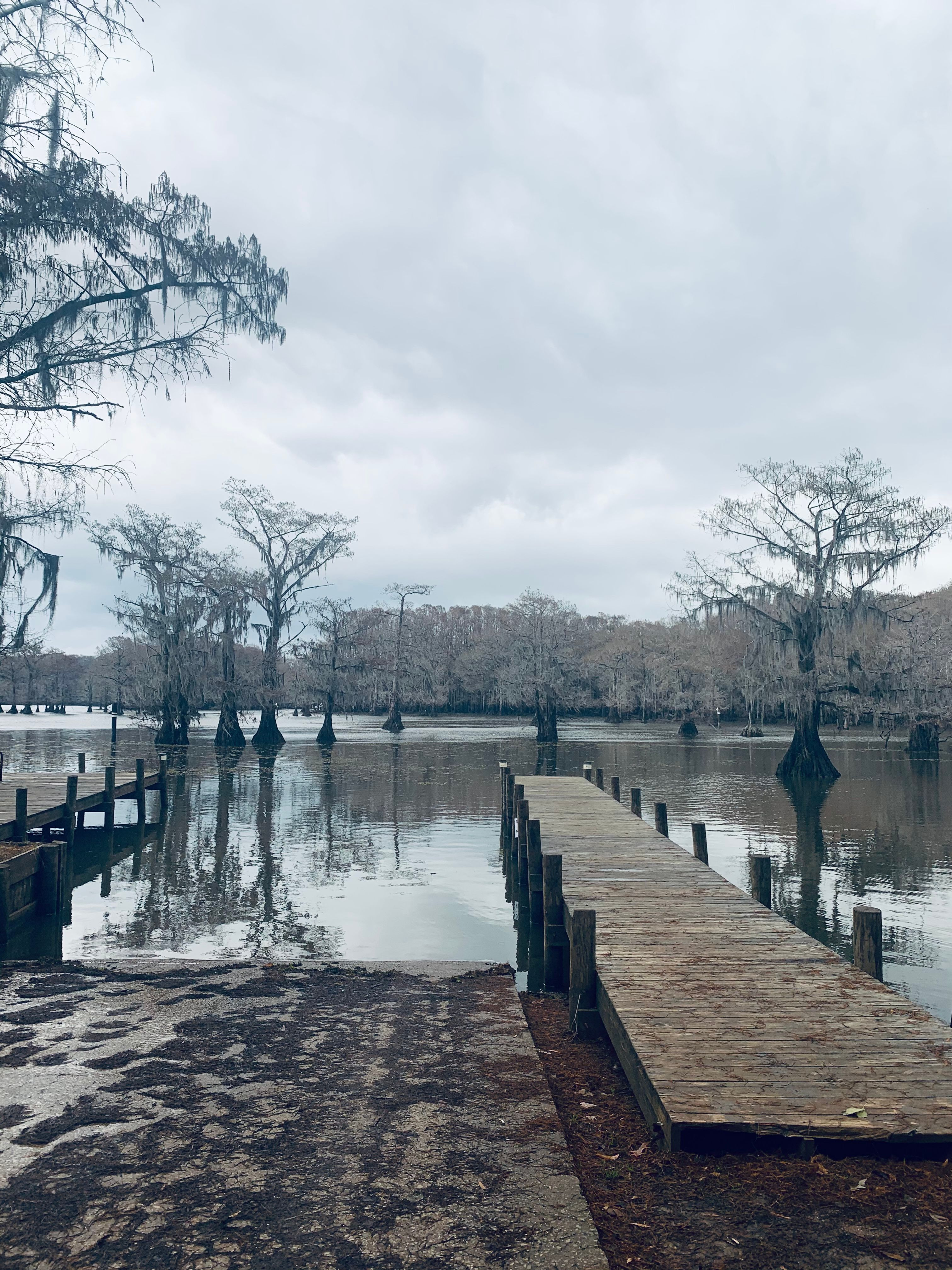 Colpo verticale di un lago Martin con alberi e passerelle sotto un cielo nuvoloso, Alabama, Stati Uniti