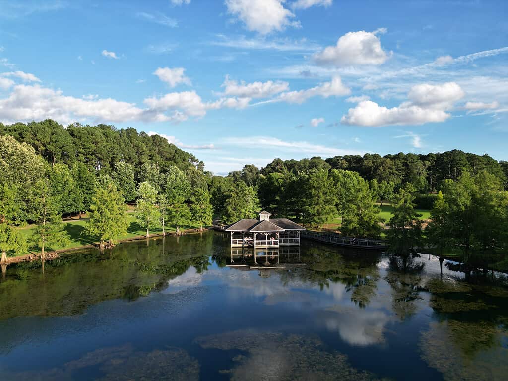 Veduta aerea di un lago in un paesaggio boscoso a Firenze, Alabama