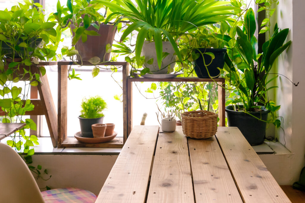 Tavolo accanto alla finestra e vaso per piante